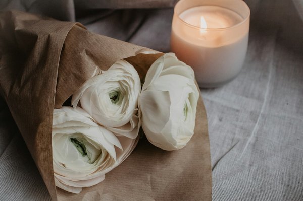 Découvrez votre boutique bio en ligne préférée